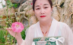 无码乱人伦一区二区亚洲一